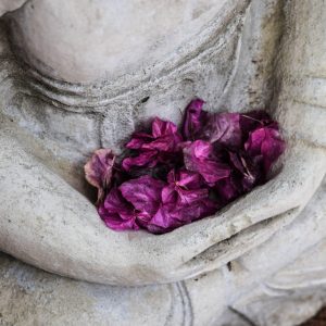 Buddah mit Blüten-Übersicht-Angebote-Preisliste-Tanz und Entspannung-Frauenkreise-Meditation-Einzelbegleitung- Für Frauen